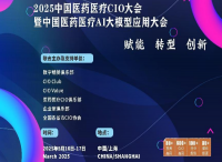 2025中国医疗医药行业CIO大会暨中国医疗医药AI大模型应用大会